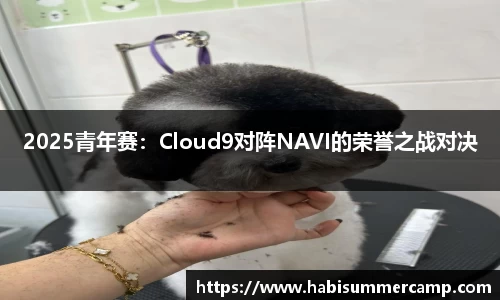 2025青年赛：Cloud9对阵NAVI的荣誉之战对决